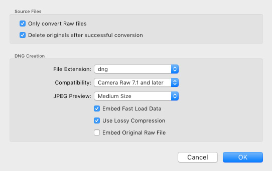 recommended settings for lossy dng compression